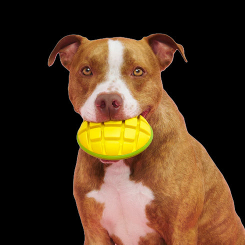 Bark Go Mango Super Chewer Dog Toy - Large
